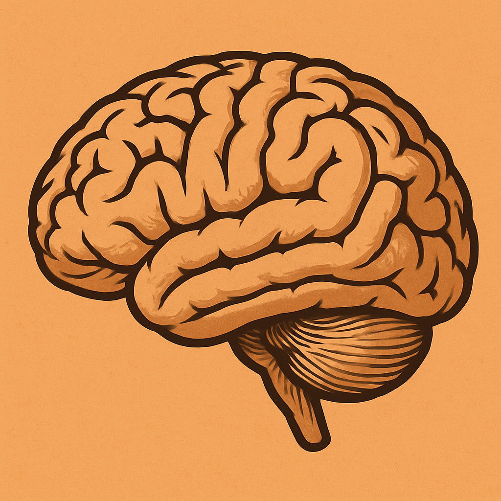 The Psychology Behind Successful Traders